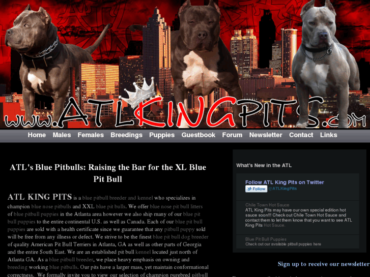 www.atlkingpits.com