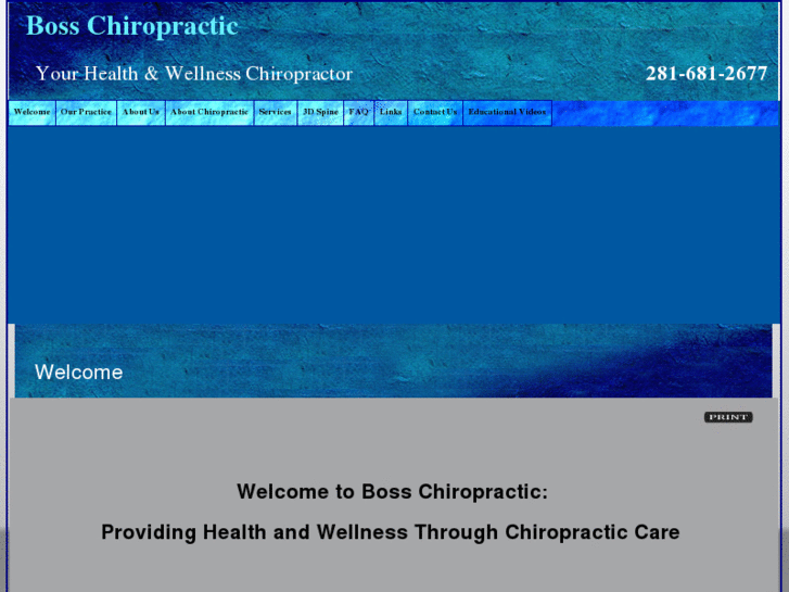 www.bosschiropractic.com