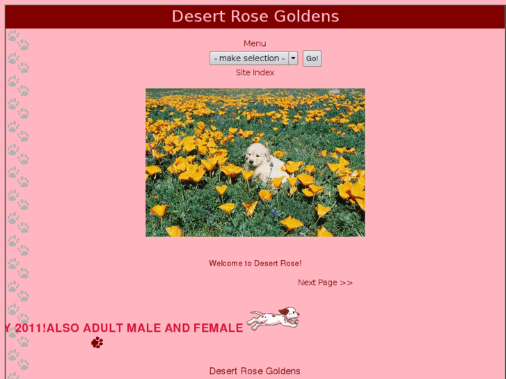 www.desertrosegoldens.com