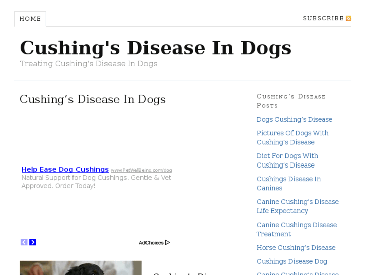 www.dogscushingsdisease.com