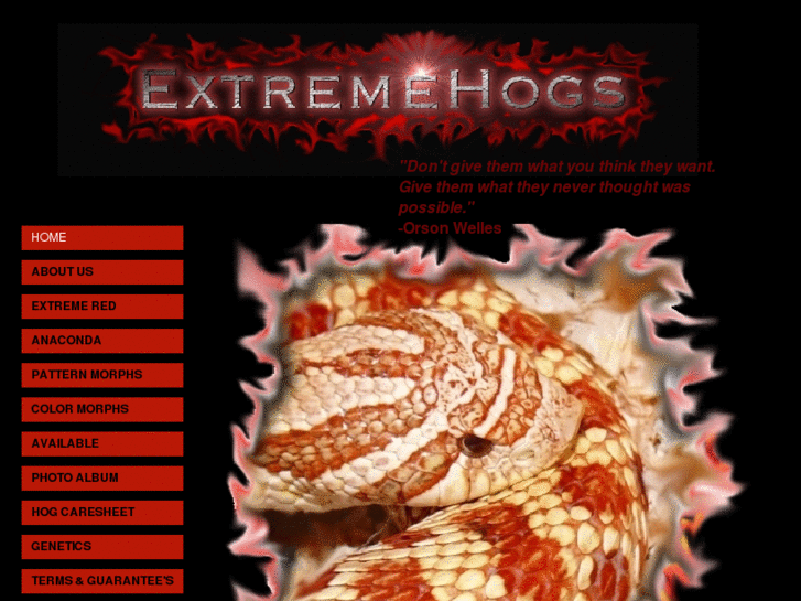 www.extremehogs.com