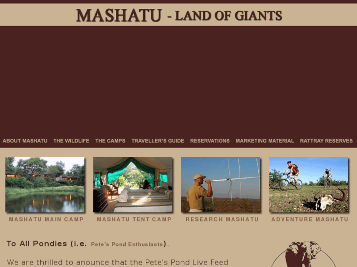 www.mashatu.com