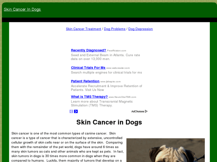 www.skincancerindogs.com