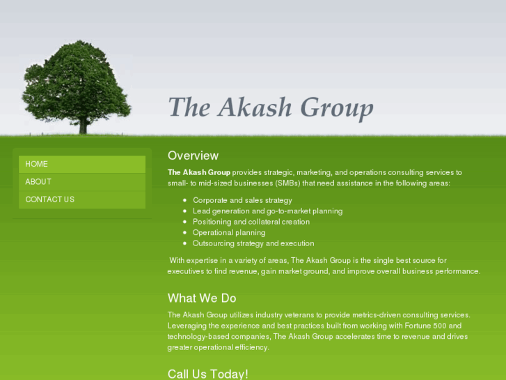 www.theakashgroup.com