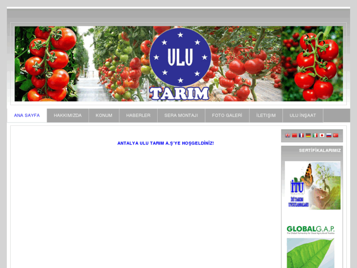 www.ulutarim.com