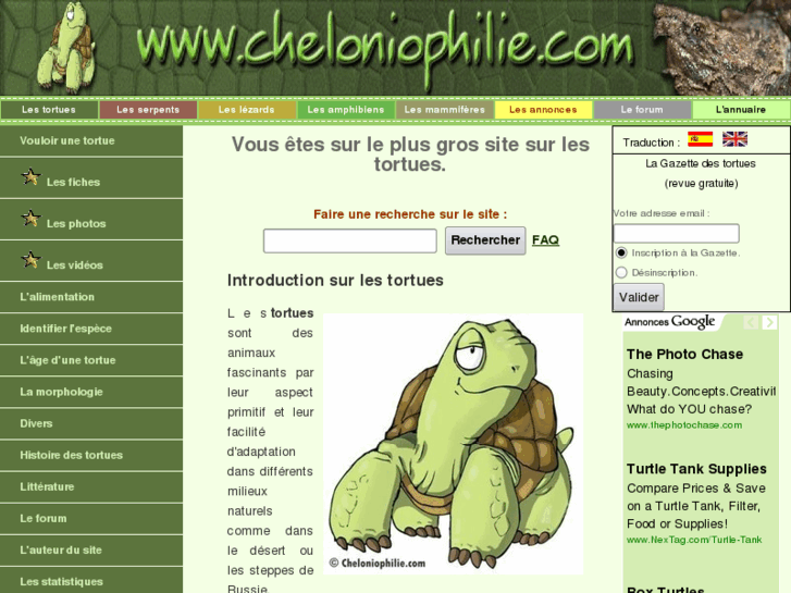 www.cheloniophilie.com