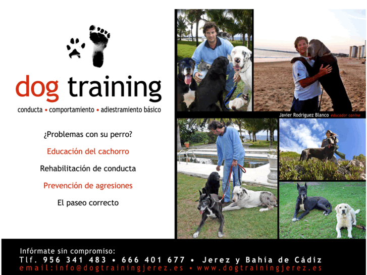 www.dogtrainingjerez.es