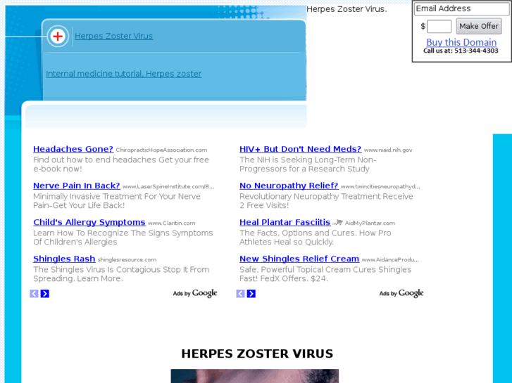 www.herpeszostervirus.com