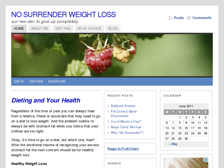 www.nosurrenderweightloss.com