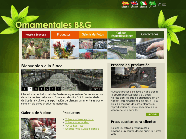 www.plantas-ornamentales.com