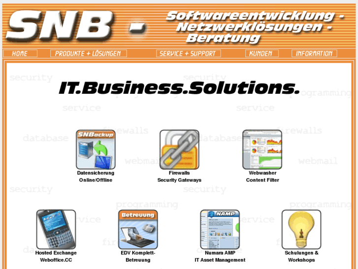 www.snb.at