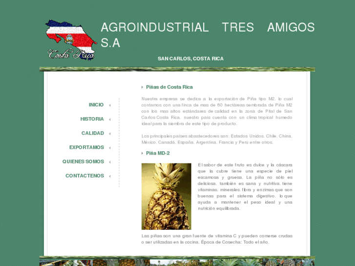 www.agroindustrialtresamigos.com