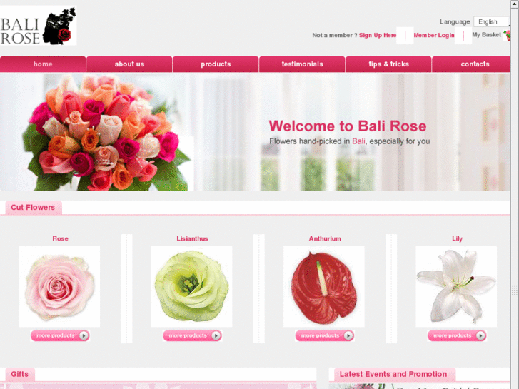 www.bungabalirose.com