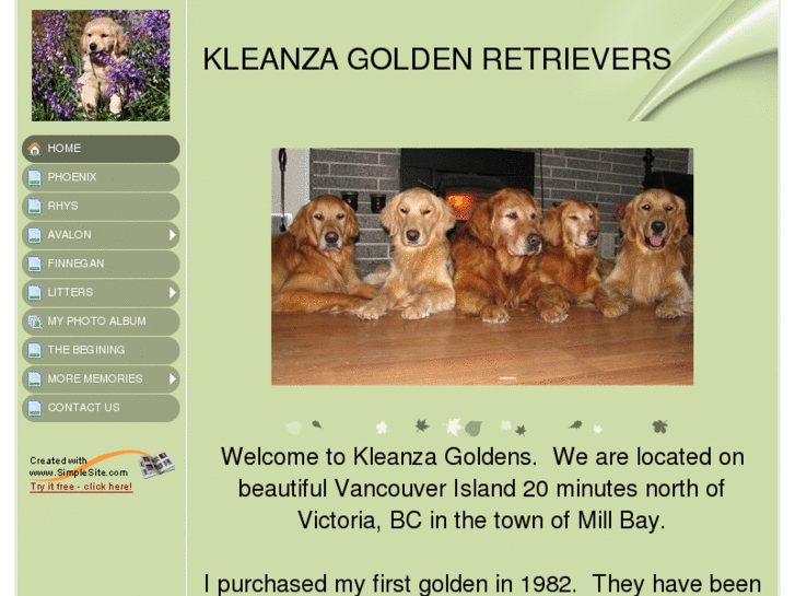 www.kleanzagoldens.com