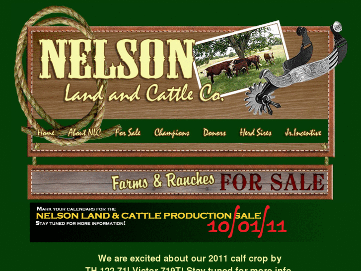 www.nelsonlandandcattle.com