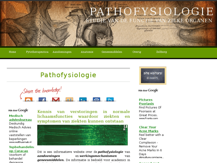 www.pathofysiologie.nl