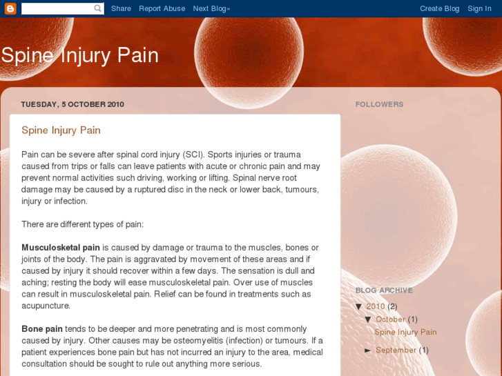 www.spineinjurypain.com