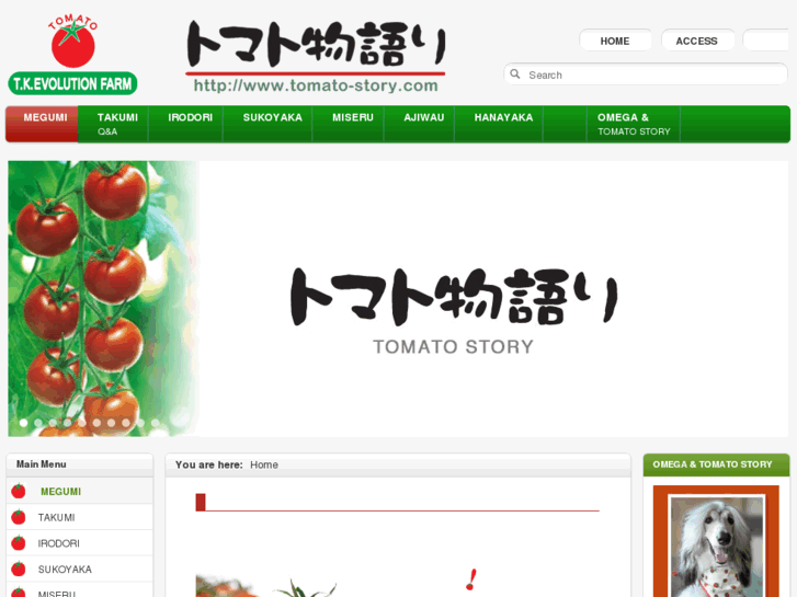 www.tomato-story.com