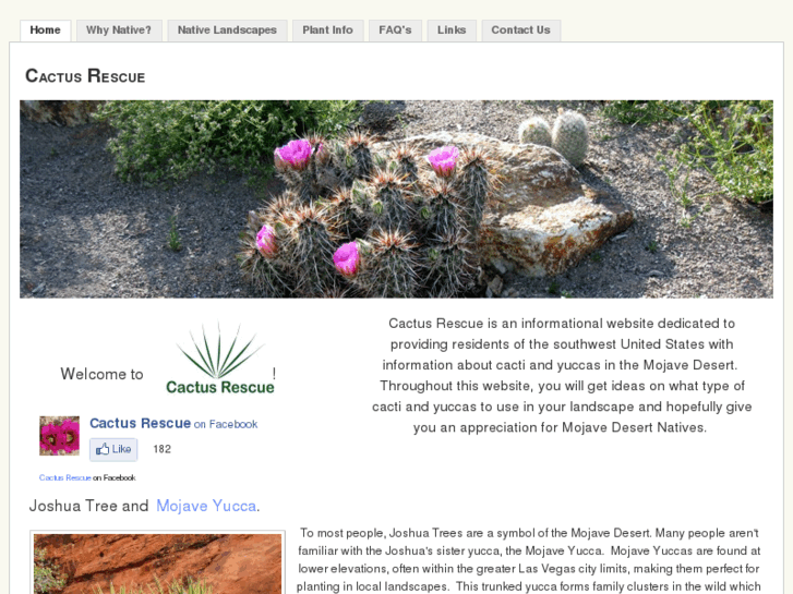 www.cactusrescue.com