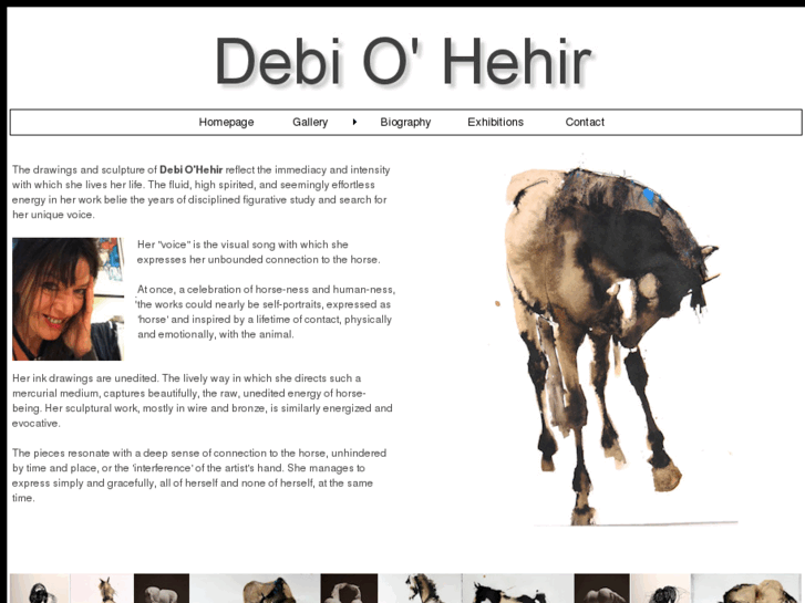 www.debiohehir.com