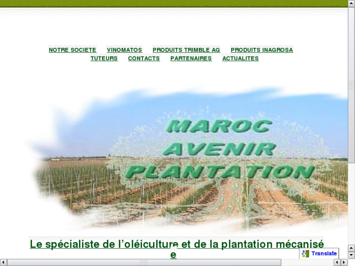 www.marocavenirplantation.com