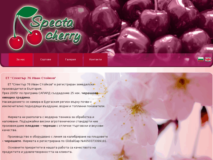 www.spectacherry.com