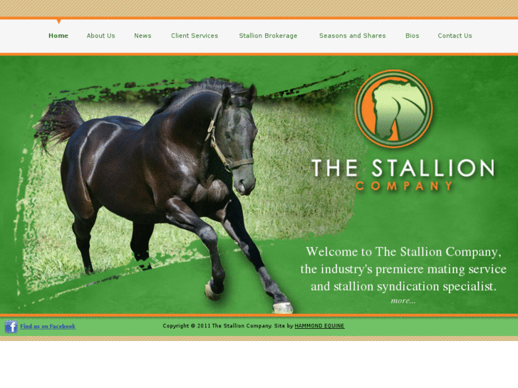 www.stallioncompany.com