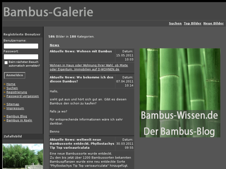 www.bambusgallerie.de