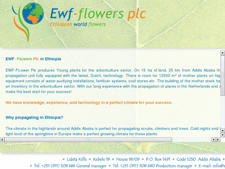 www.ewf-flowers.com