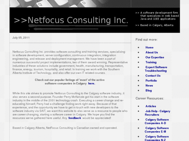 www.netfocusconsulting.com