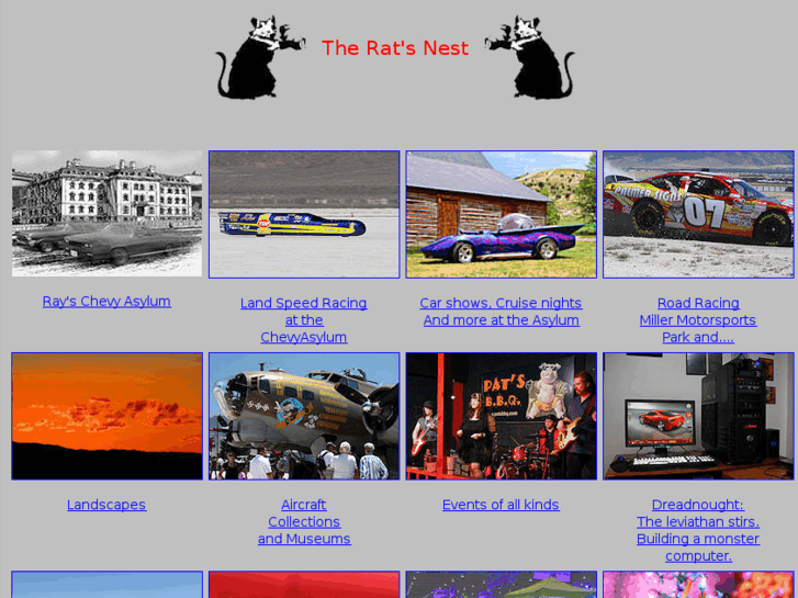 www.raytherat.com