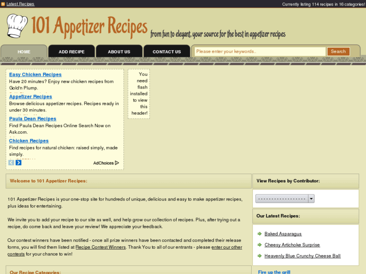 www.101appetizerrecipes.com