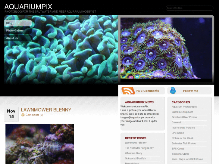 www.aquariumpix.com