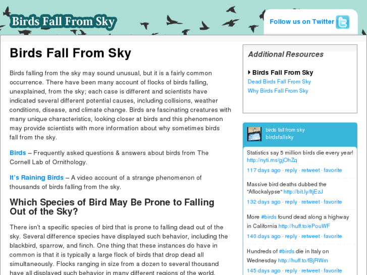 www.birdsfallfromsky.com