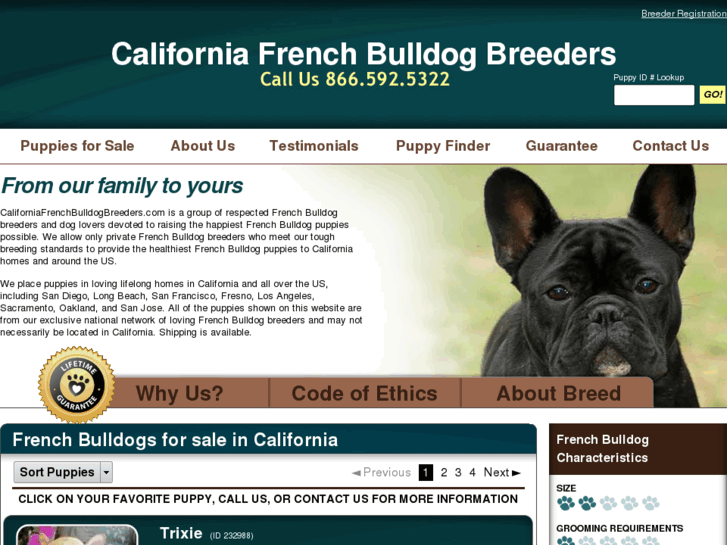 www.californiafrenchbulldogbreeders.com