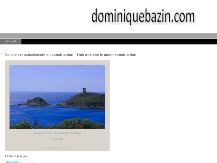 www.dominiquebazin.com