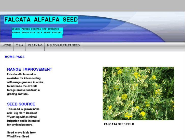 www.falcataseed.com