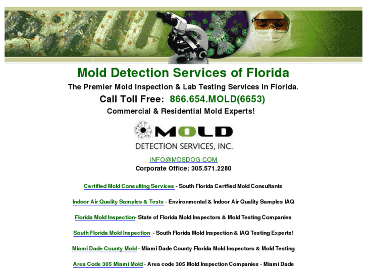 www.floridamold.net