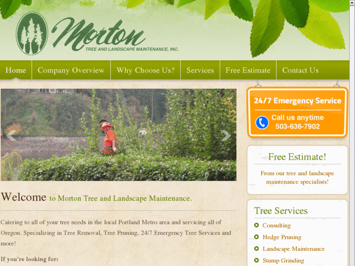 www.mortontree.com