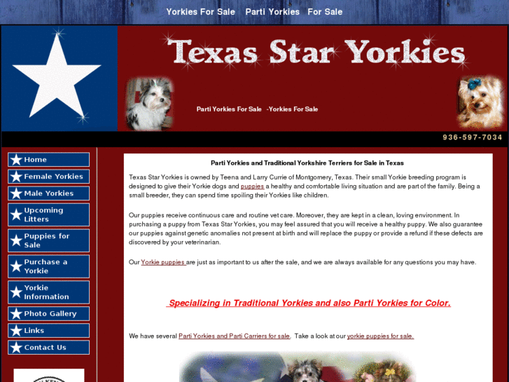 www.texasstaryorkies.com