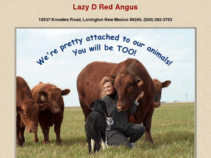 www.lazy-d-redangus.com