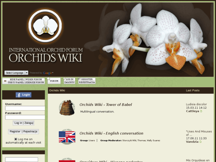 www.orchidswiki.com