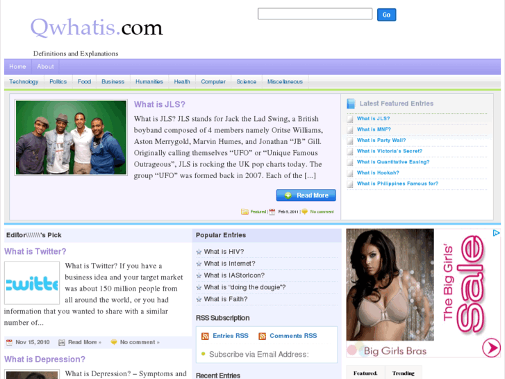 www.whatis-it.net