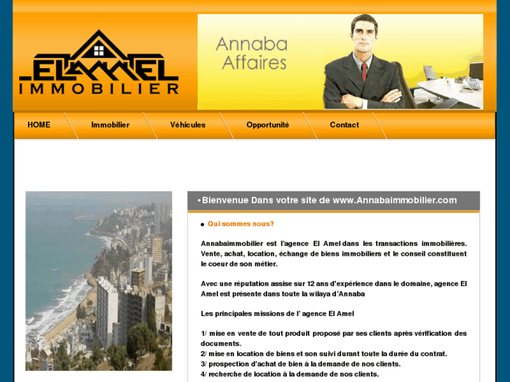 www.annabaimmobilier.com