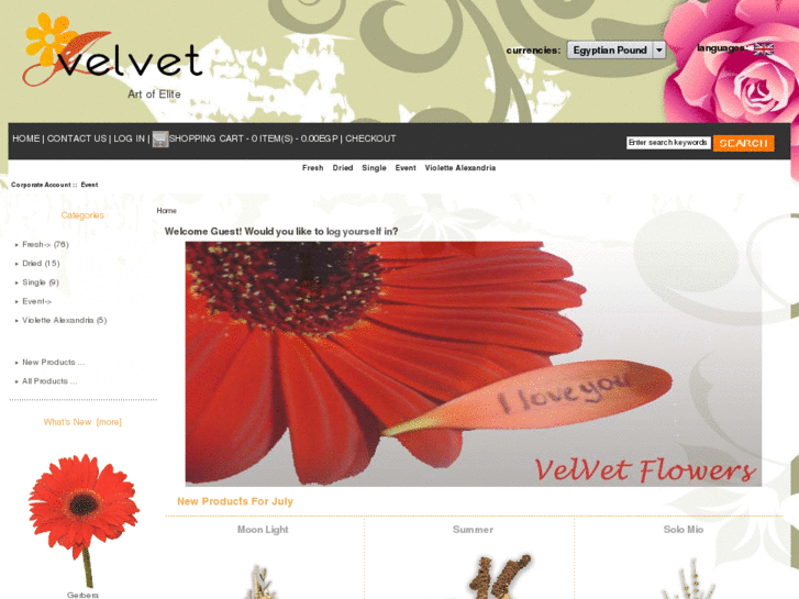 www.velvetegypt.com