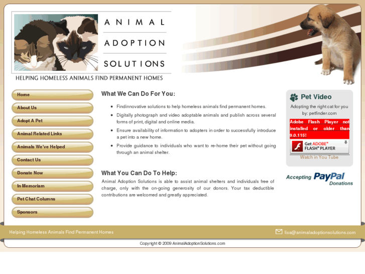 www.animaladoptionsolutions.com