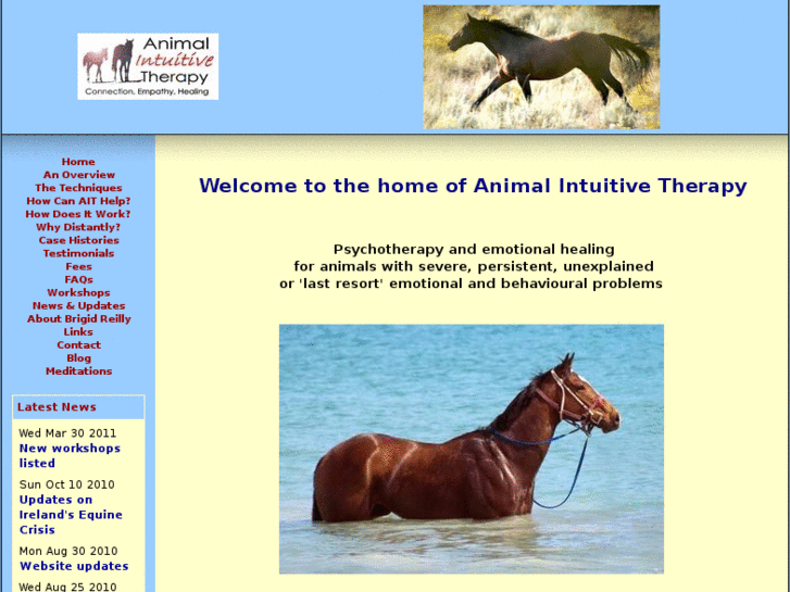 www.animalintuitivetherapy.com