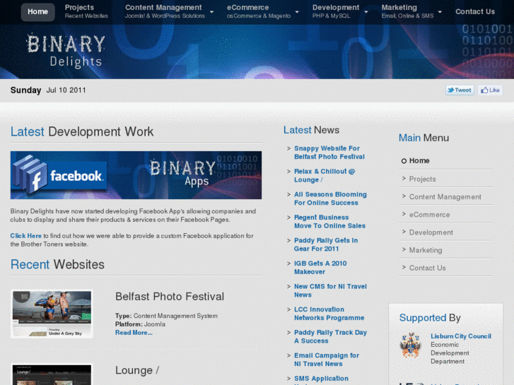 www.binaryauctions.com