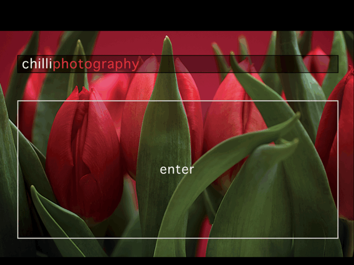 www.chilliphoto.com