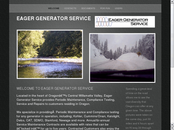 www.eagergeneratorservice.com